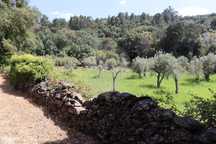 Terreno  para venda