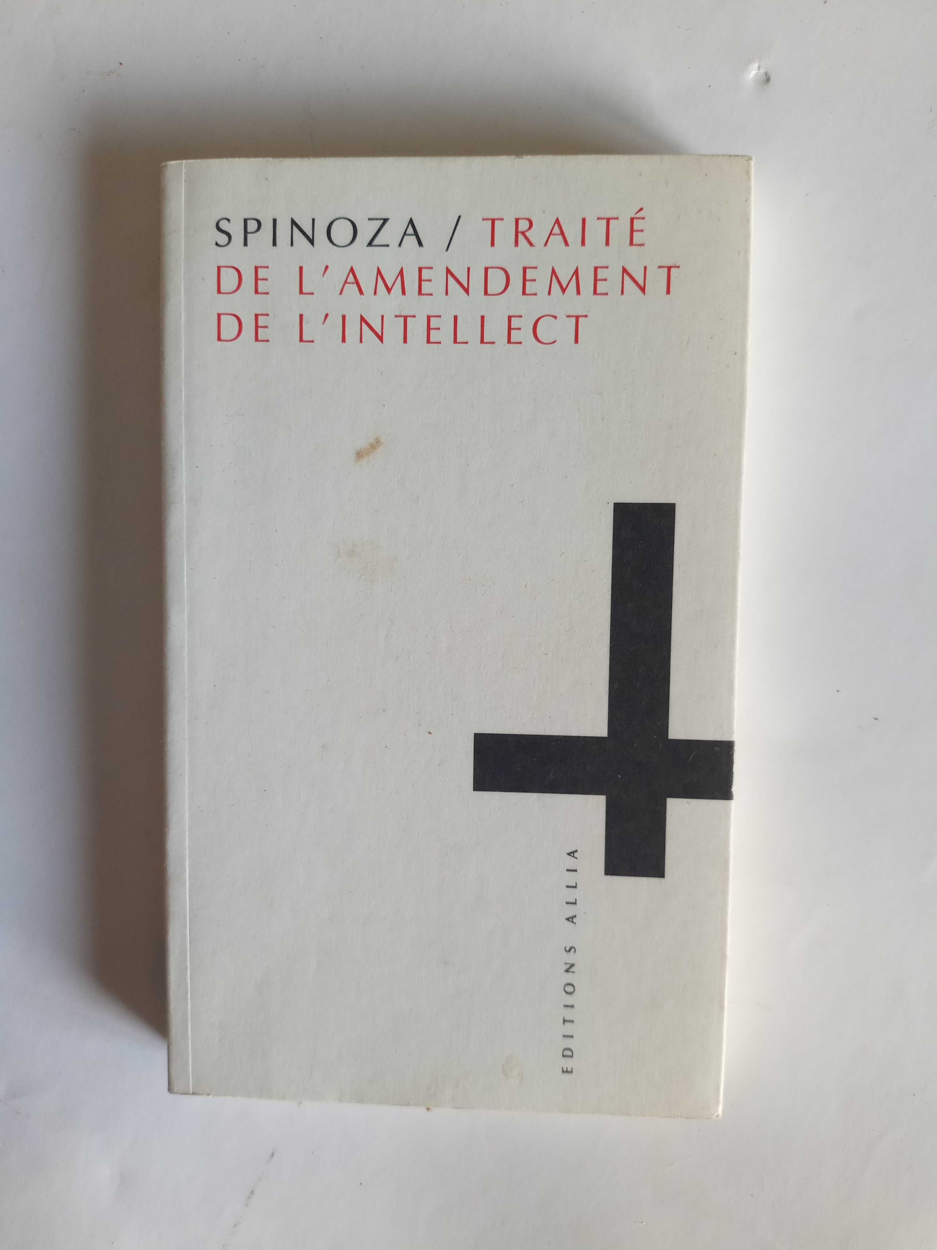 Spinoza/ Traité de L´Amendement de L´Intellect (francês)