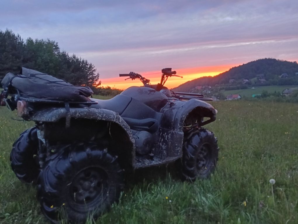 Yamaha grizzly 660 plug wyciągarka 2003r.