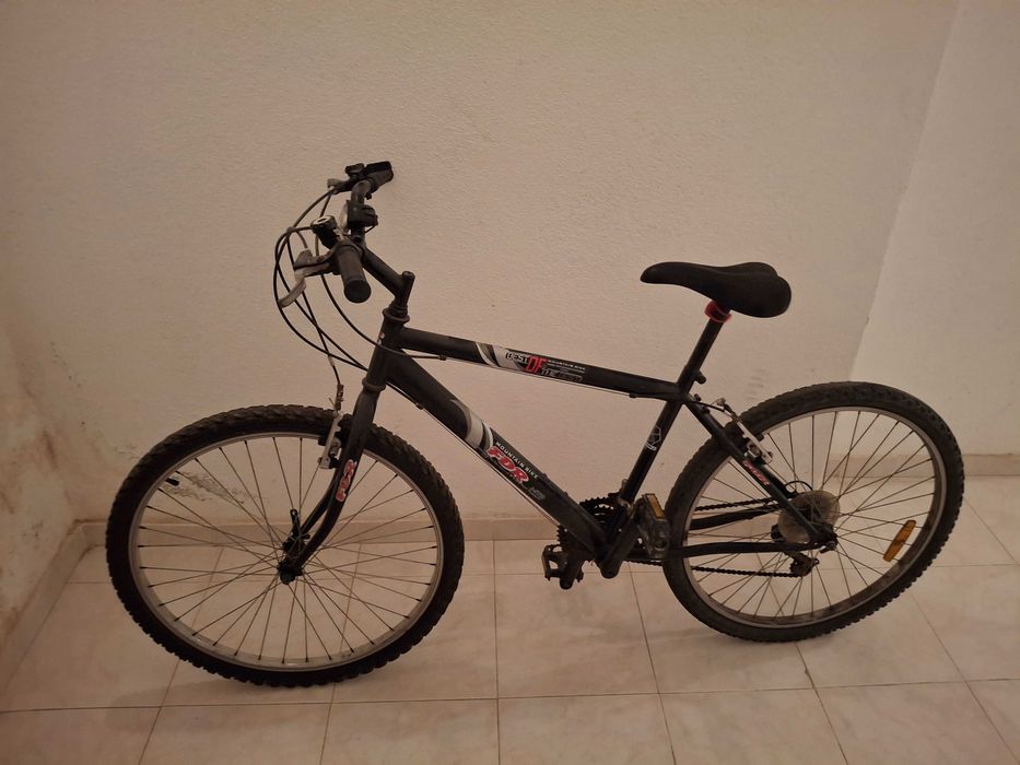 Bicicleta de adulto