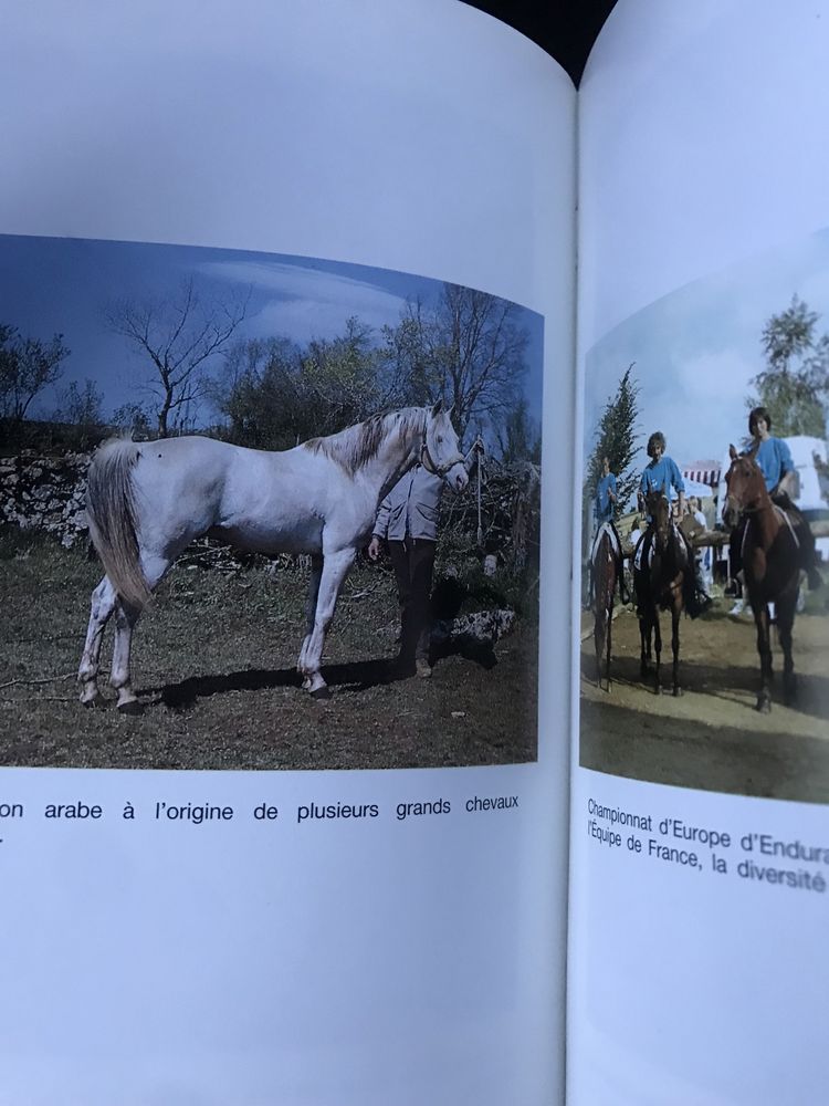 Equitação Les raids d’endurance equestre