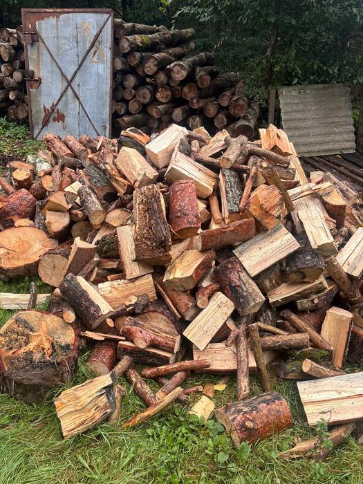 Sprzedam drewno kominkowe posuszone (wycinka drzew i karczowanie