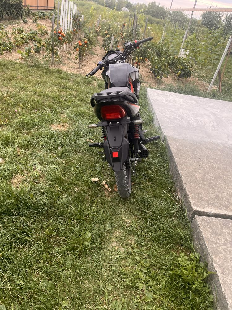 Musstang region mt250