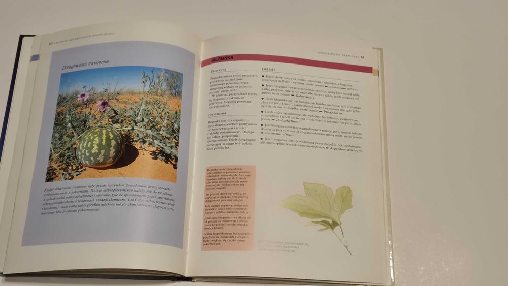 Homeopatia sposób na zdrowie Robin Hayfield