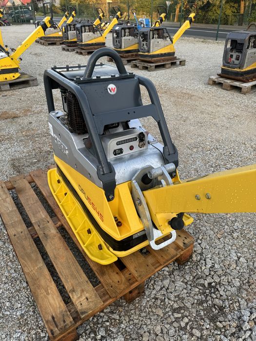 Zagęszczarka Wacker  DPU 5545 heh czujnik zageszczenia