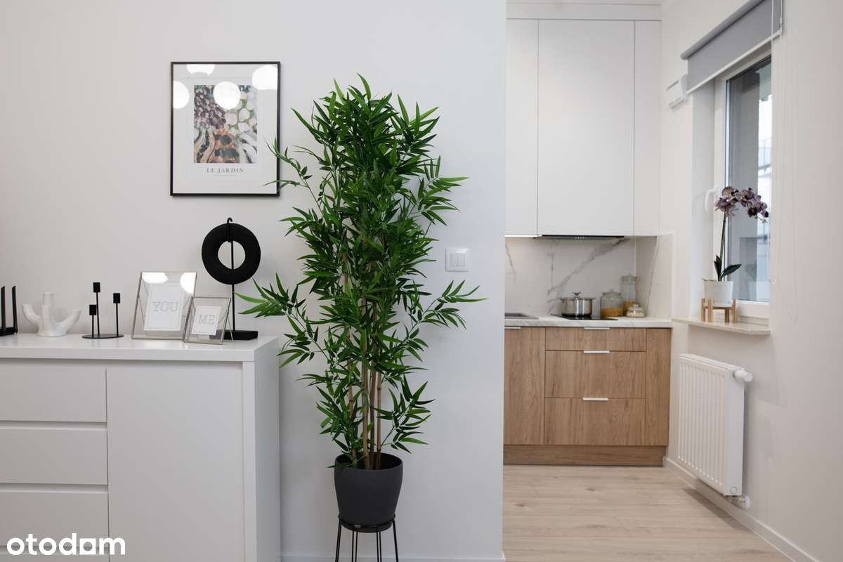 Studio flat for Rent | For Students | No Commission | Pet - Friendly
