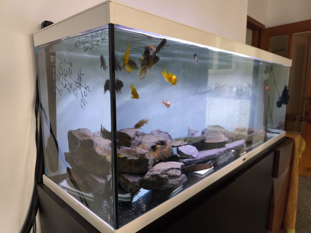 Aquário Aquatlantis 150cm completo com o equipamento