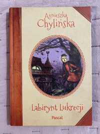 Labirynt Lukrecji książka