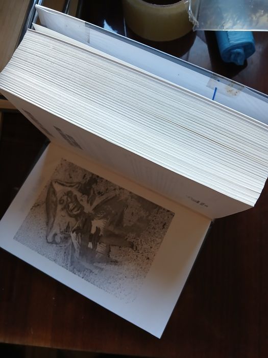 Книга Стивина Кинга "Стрелок.Извлечениие троих. Бесплодние земли"


На