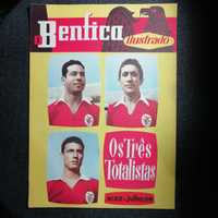 Benfica ilustrado