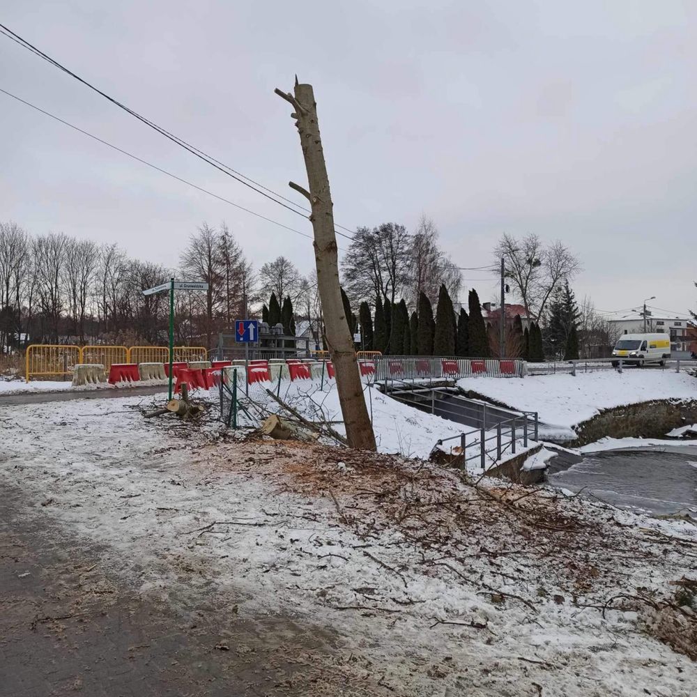 Wycinka drzew i krzewów. Metodą alpinistyczną i tradycyjną