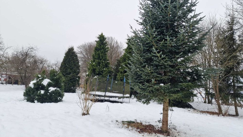 Działka 26 km od Kołobrzegu