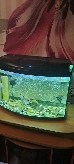 Срочно продам акваріум