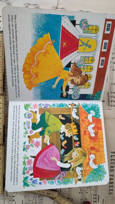 Livro A Gata Borralheira Antigo