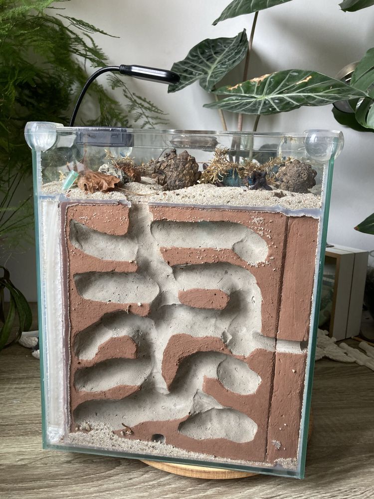 Formikarium 19 l.