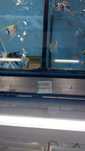 Escalares casal 20eur odivelas loures