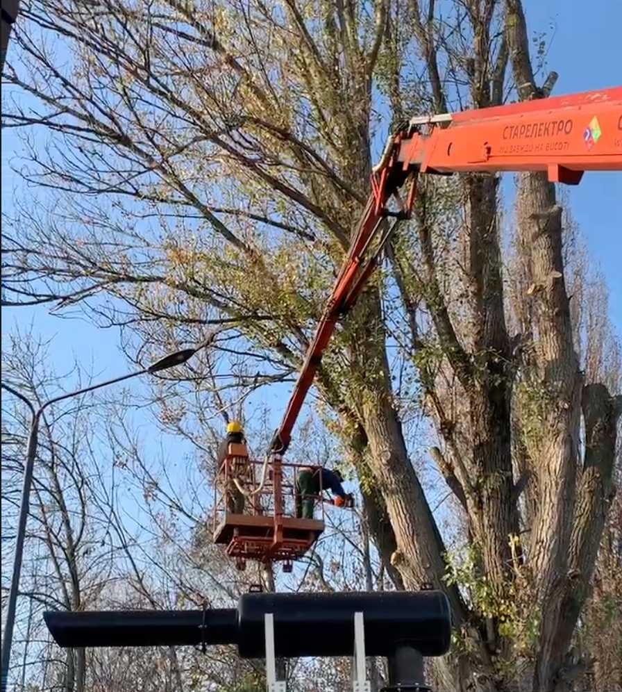 Зрізання дерев, Кронування, Обоізка, Спил, Валка