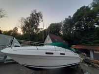Sea Ray 230 Sundancer jacht motorowy lodz motorowa kabinowa motorowka