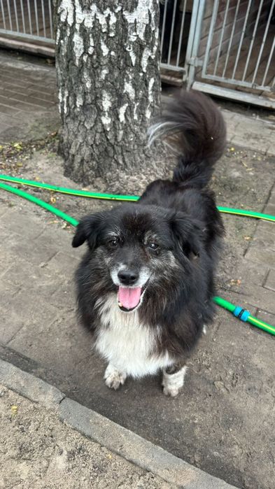 Lilka szuka spokojnego opiekuna, który pokaże jej, że ludzie i świat n