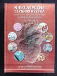 Nieklasyczne czynniki ryzyka