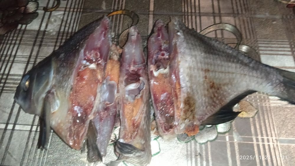 Продам в'ялену рибу лящ 250гр.кг.