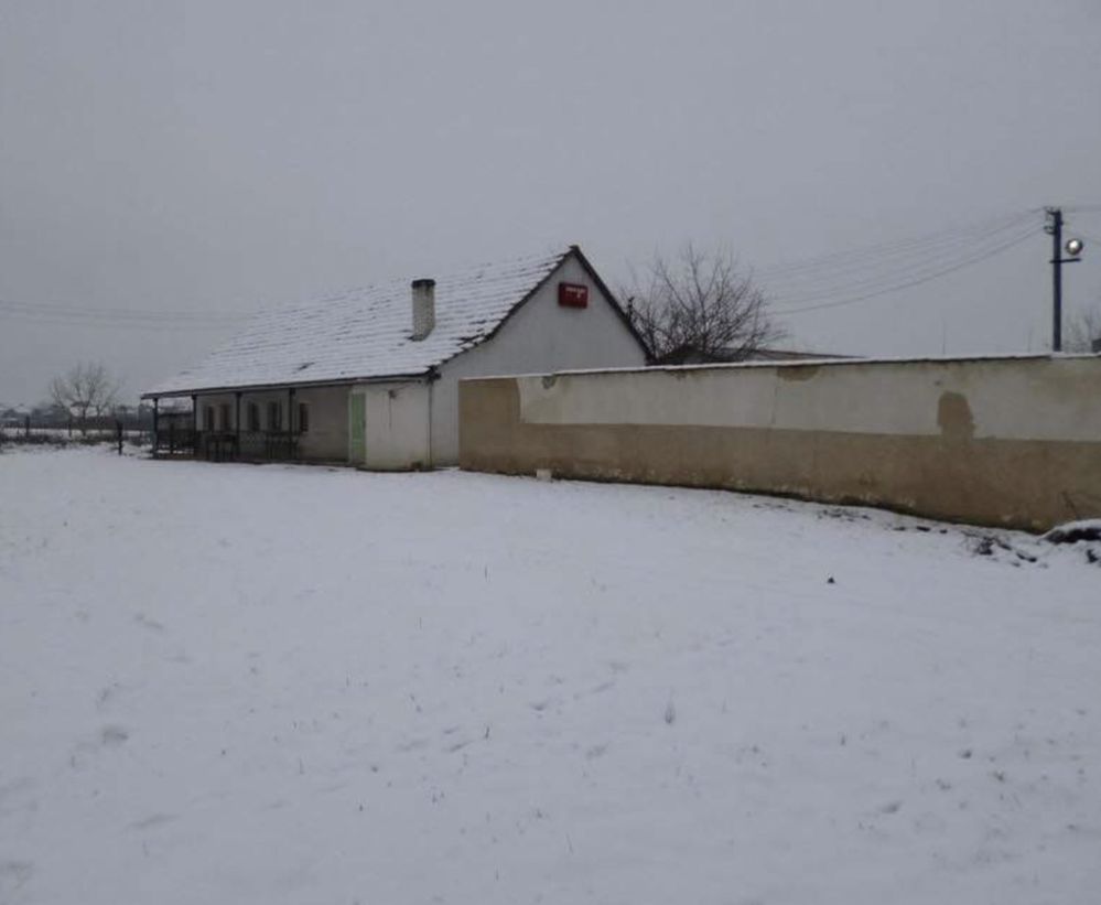Домашнє господарство,   ферма