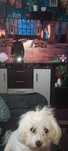 Hogwarts legacy xbox one