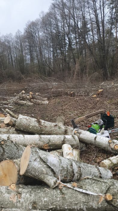 Виконання робіт, повне очищення території, демонтаж будівель, дахів.