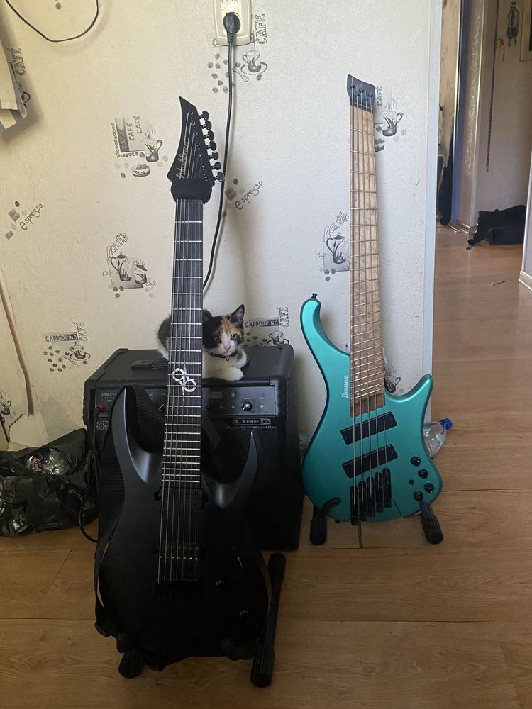 Ibanez ehb1005 sms (multiscale)