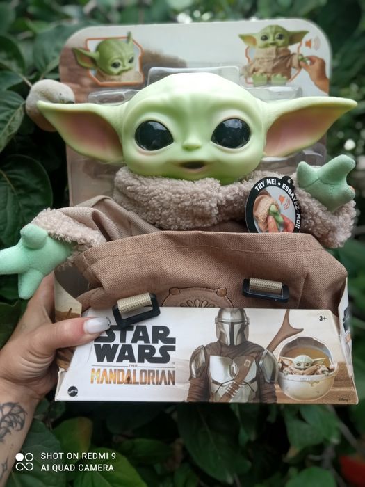 Star Wars the Mandalorian