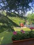 Działka ROD Trzemeszno ul. Działkowa