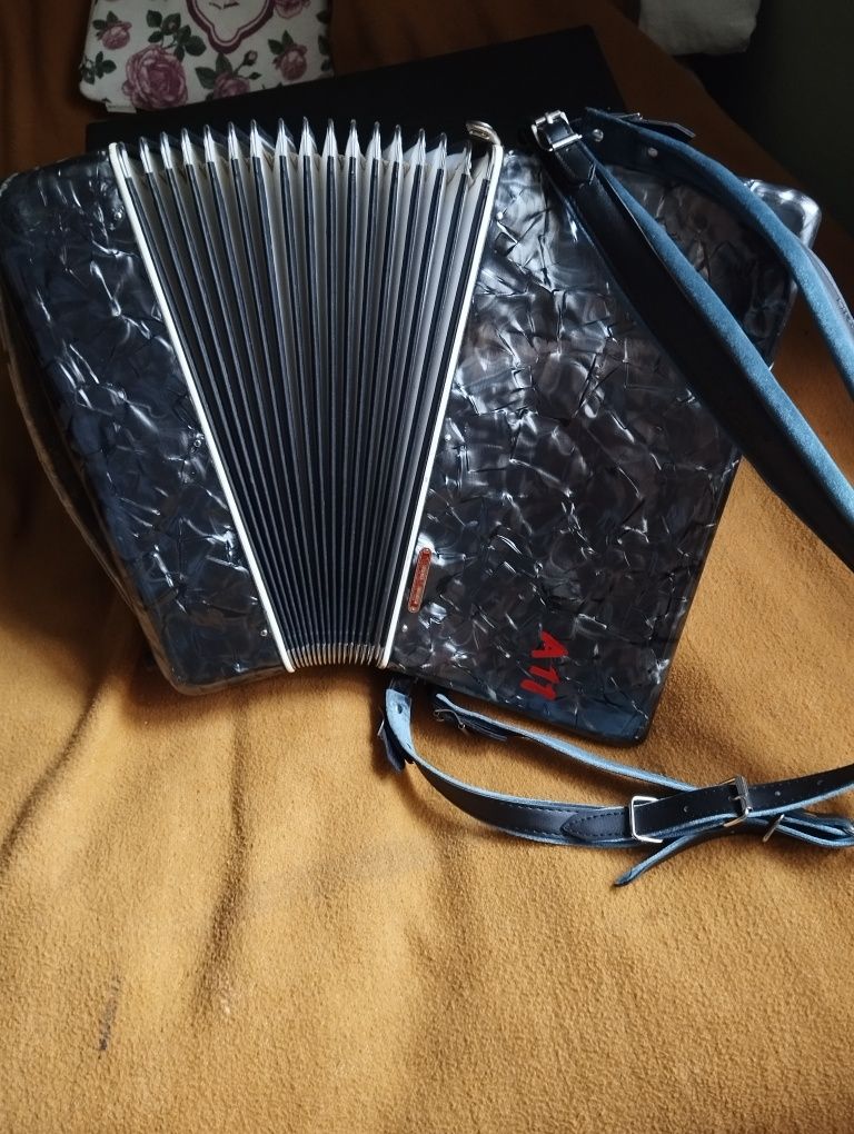 Akordeon Parrot 60 bas