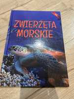 Książka "Zwierzęta morskie" FAKTY wydawnictwo Monika Duda