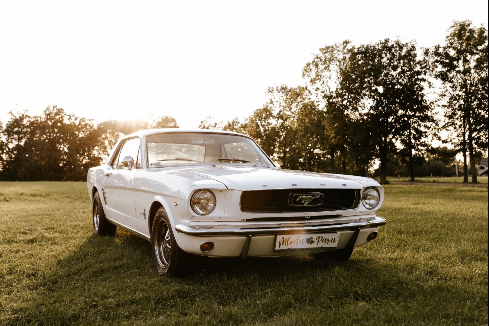 Klasyczny zabytkowy Ford Mustang 1966 V8 na wesele, ślub, uroczystości
