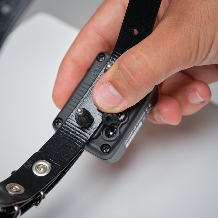 Coleira Antilatidos de Cão de Caça Dogtra YS 300