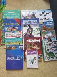 Zestaw 14 książek o dinozaurach