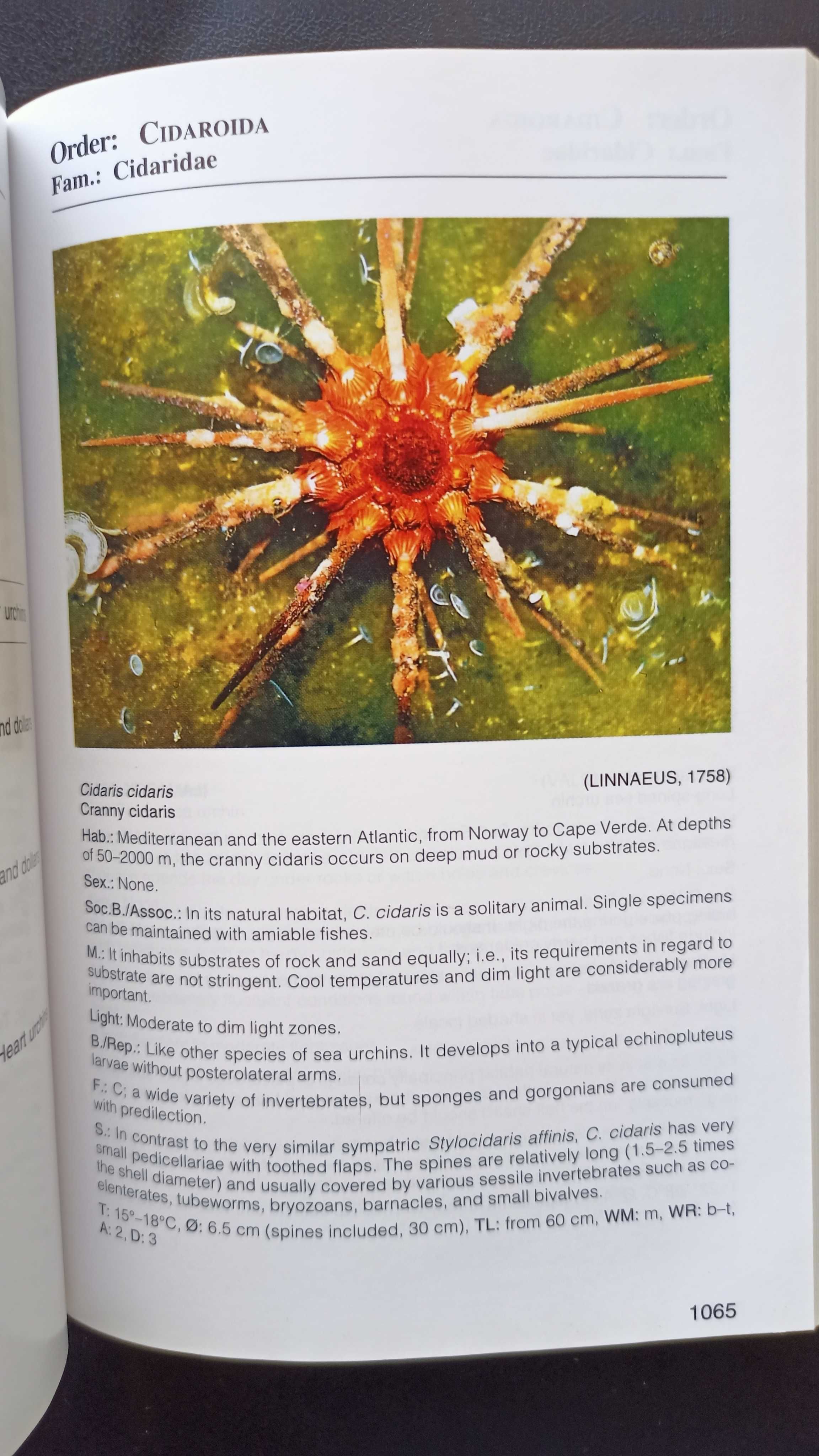 3 Atlas de Água Salgada (peixes, corais e invertebrados)