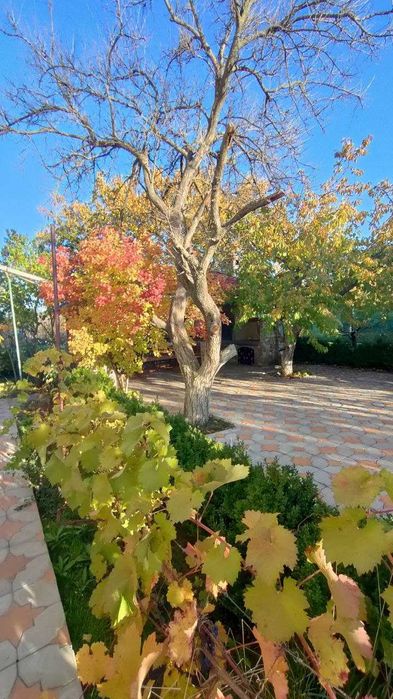 Продам добротный дом в Палиево на 20 сотках.