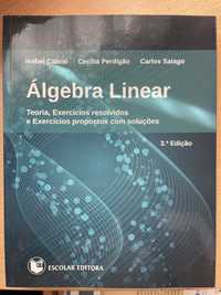 Álgebra Linear 3.a edição