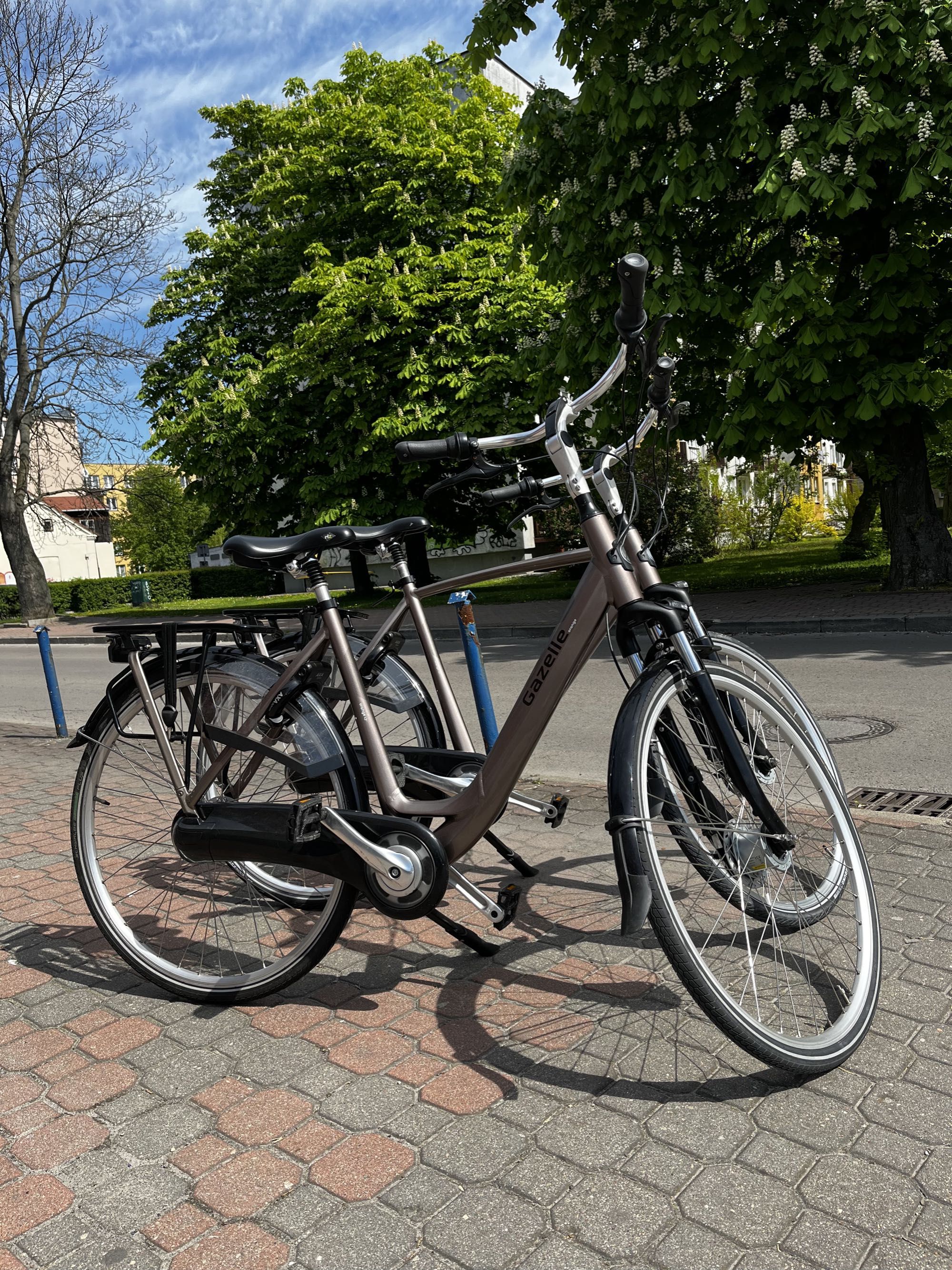 Rower Holenderski Gazelle Orange C7+