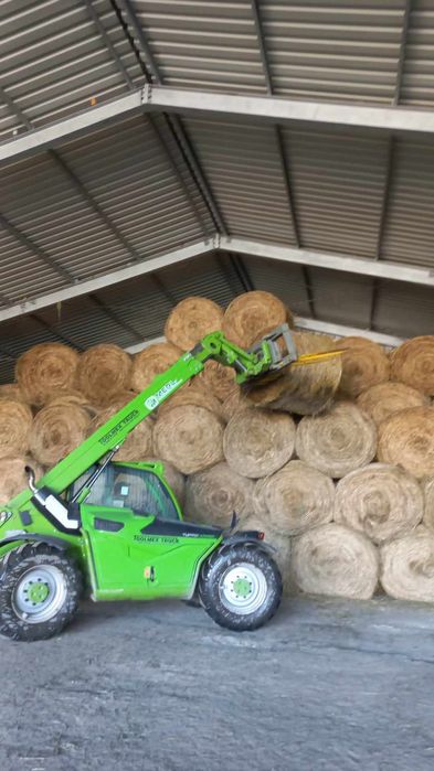 Siano tegoroczne 150cm