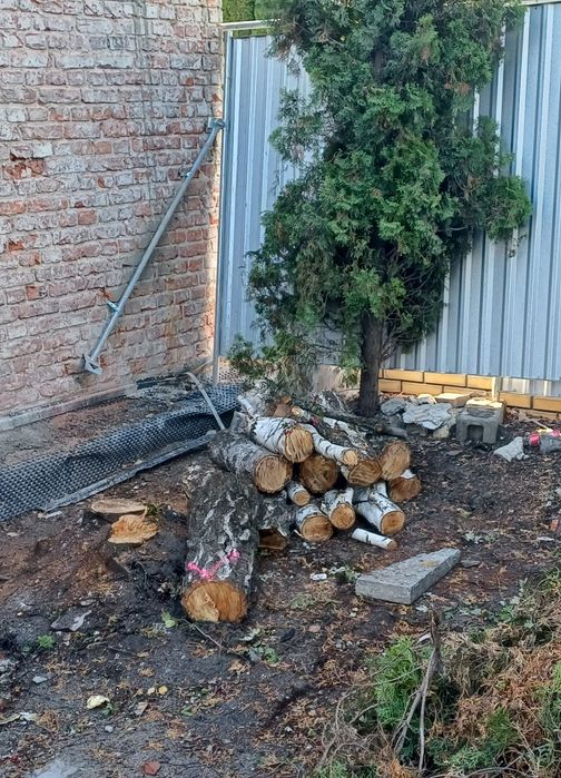 Oddam drewno na opał