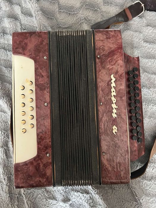 Гитара Трембита,  и гармонь  Беларусь и Маричка.