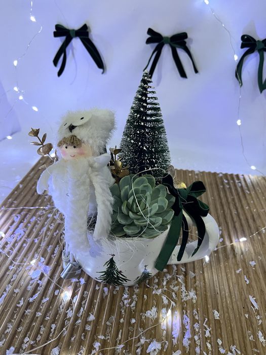 Новорічна композиція в чашці з живими сукулентами