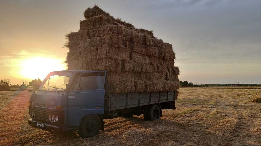 Toyota Dyna Bu30 3.0 1979