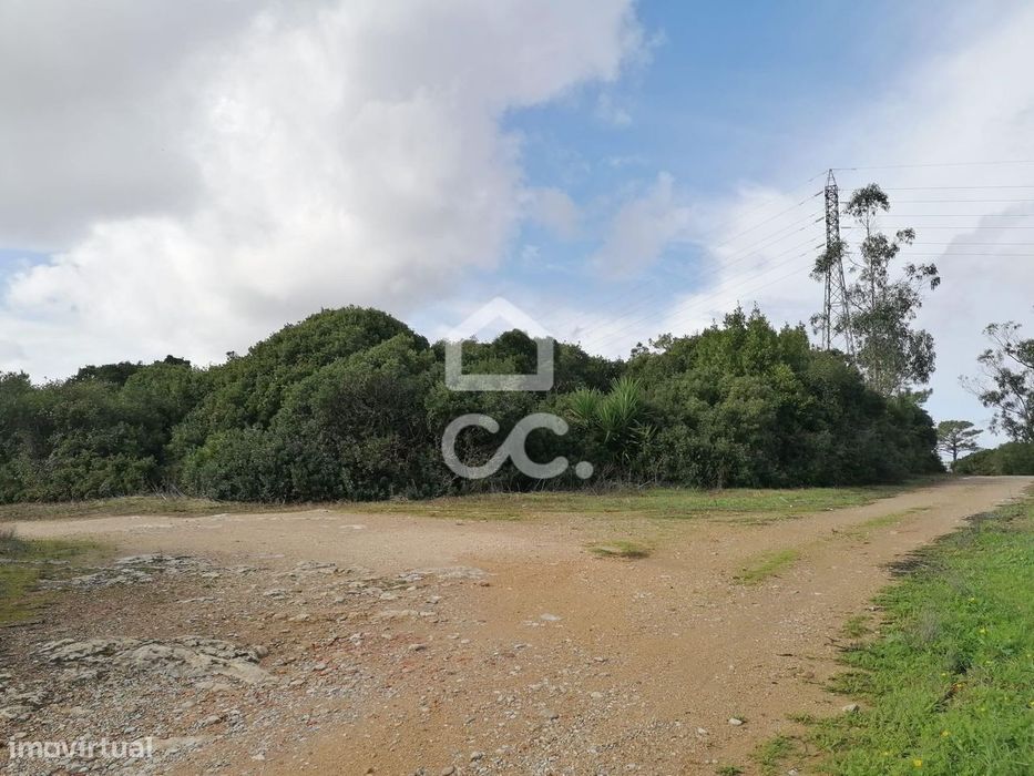 Terreno Rústico de 6.960 m² na Usseira, Óbidos