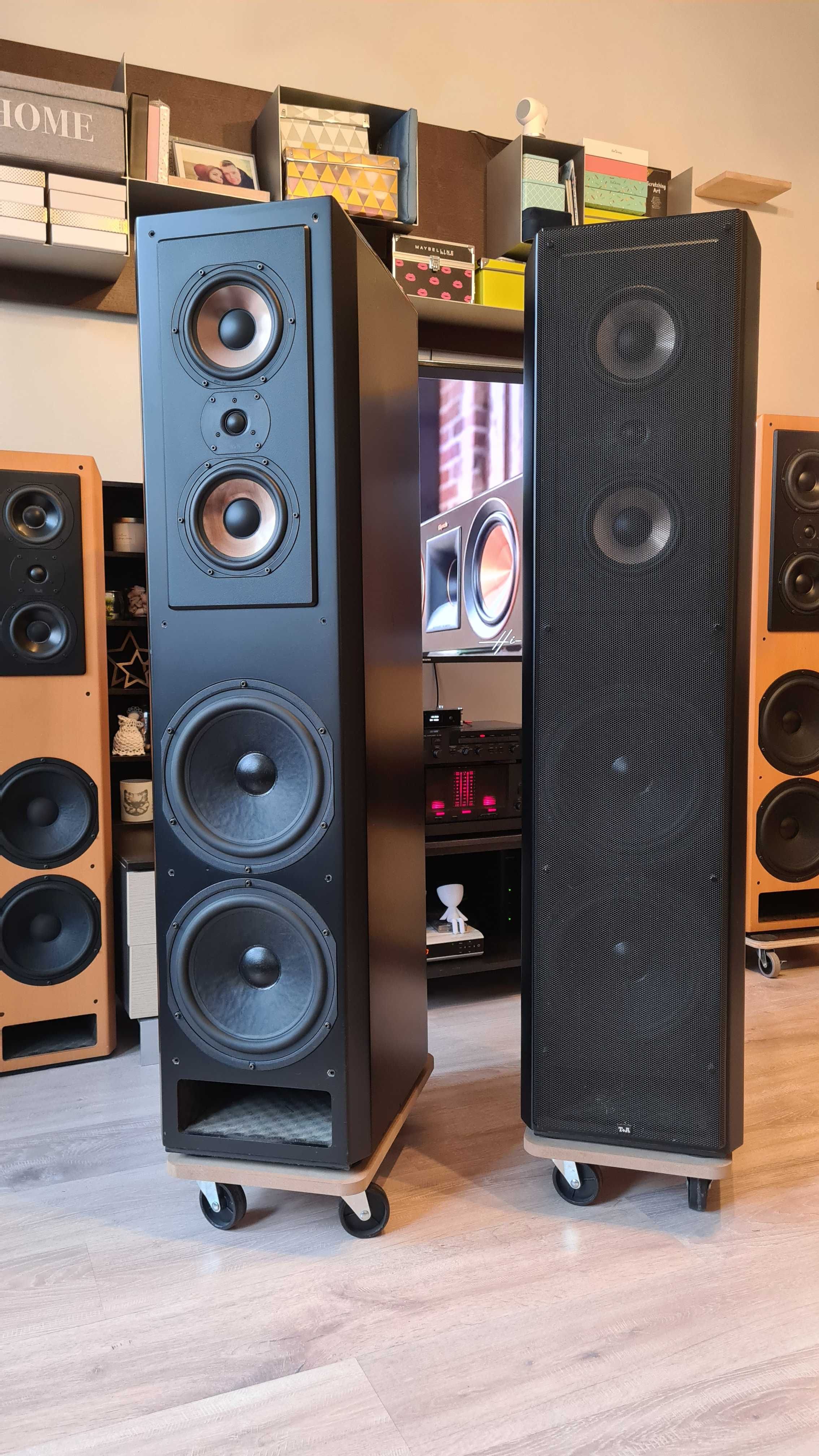 Czarny Koń - Kolumny podłogowe T+A Criterion TAL 160 – Top HI-FI Audio