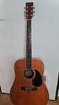 Guitarra, Viola acústica Hohner