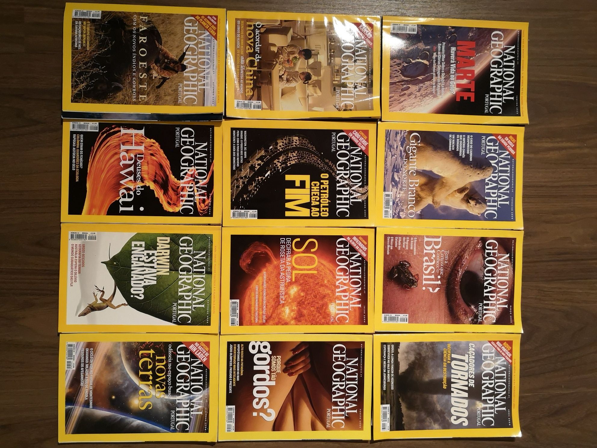 National Geographic - 12 revistas 2004