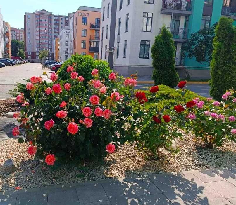2-кімнатна квартира 59 м2 в ЖК "ЄВРОПЕЙКА"